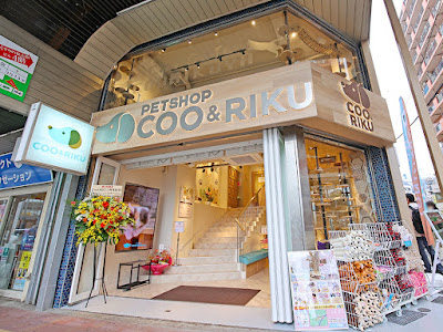 Coo & RIKU Sangenjayaten Kuriku Pet Shop 사진 2
