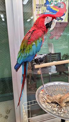 ZOO 사진 3