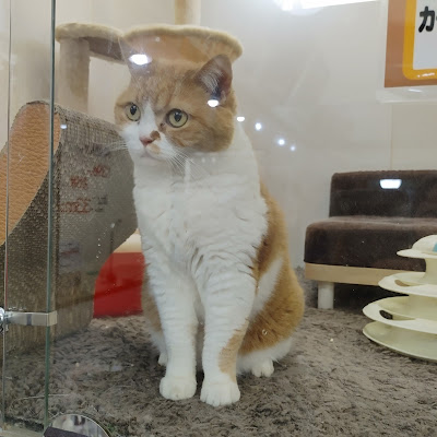 ZOO 사진 4