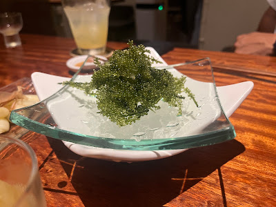 taachi 사진 4