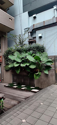 Techno Plaza Shimokitazawa 사진 2