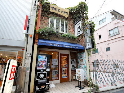 Coo&Riku Shimokitazawa 사진 2