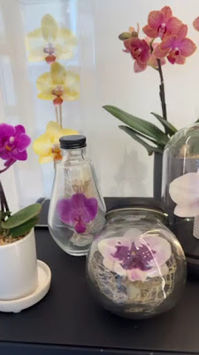 iTTO GINZA 表参道店 사진 2