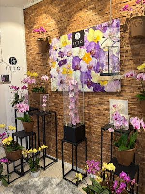 iTTO GINZA 表参道店 사진 3