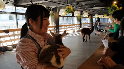 パソナ・青山(PASONA SQUARE内） 사진 2