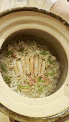 小熊 사진 2