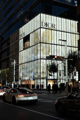 DIOR Matsuya Ginza Store 사진 4