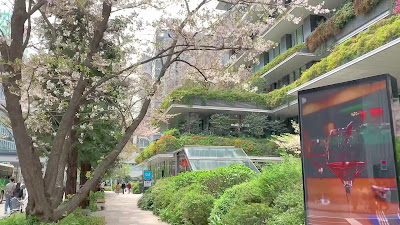 교바시 트러스트 타워 사진 2