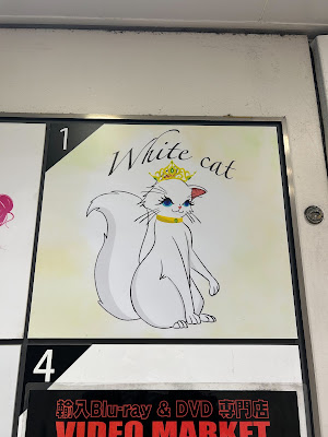 White cat 新宿 コンカフェ 사진 3