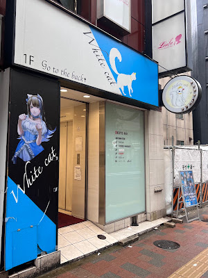 White cat 新宿 コンカフェ 사진 4