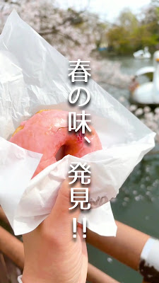 SUNDAY VEGAN 사진 2
