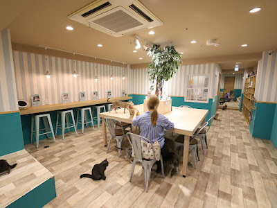 Coo & RIKU Okubomise Pet Shop 사진 4