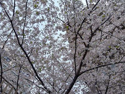 Horin Park Smoking Area 사진 3