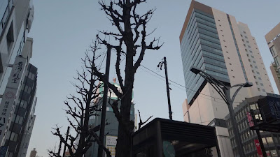 우사기야 사진 2