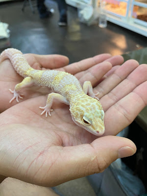 Piccolo Zoo 사진 3