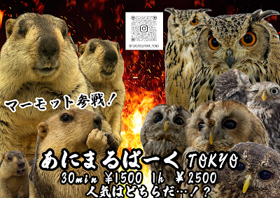 あにまるぱーくTOKYO 사진 3