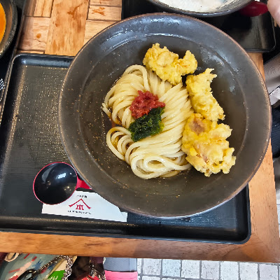 山下本気うどん サンシャインシティアルパ 사진 4