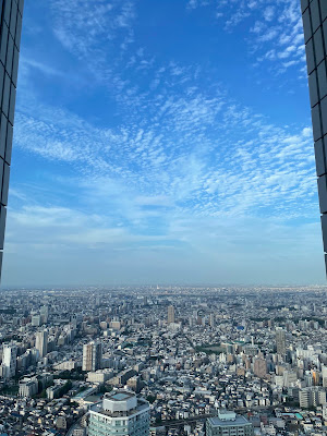 선샤인 크루즈 크루즈 사진 4