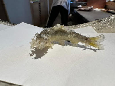 Tempura Niitome 사진 4