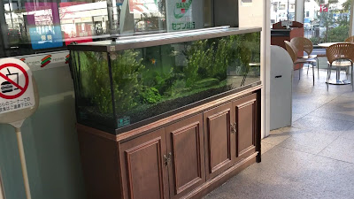 세븐일레븐 사이세이카이츄오우병원점 사진 2