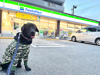 FamilyMart 사진 3