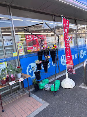 Lawson 사진 4