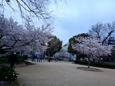 텐가챠야 공원 사진 2