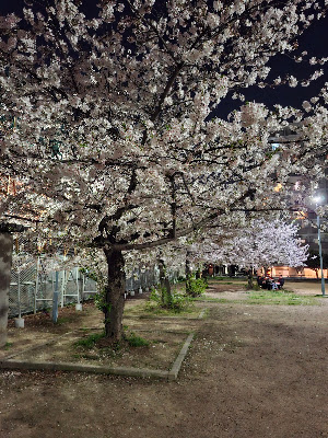 大国町南公園 사진 3