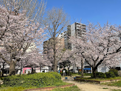 가모메마치 공원 사진 3