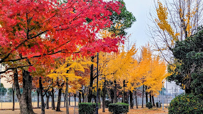 타츠미 공원 사진 3