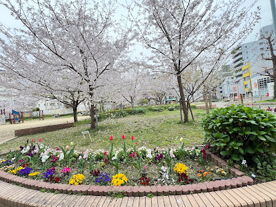 닛폰바시 공원 사진 3