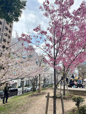 나카오에 공원 사진 4