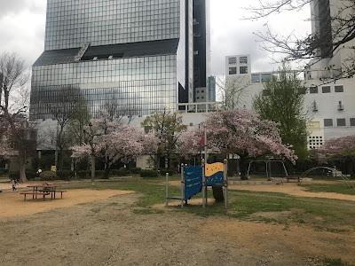 오요도나카 공원 사진 4
