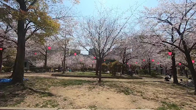 우에시오 공원 사진 2