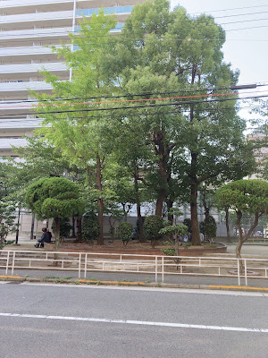 이타치보리 공원 사진 3