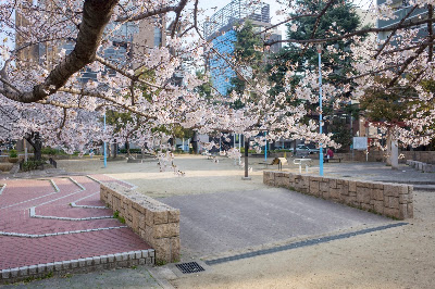 모리노미야 공원 사진 4