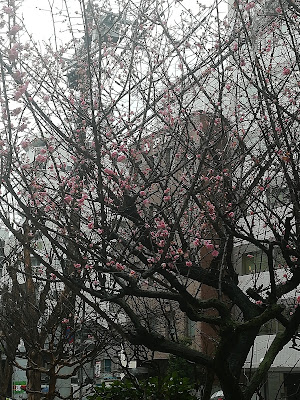 쿄마치보리 공원 사진 4