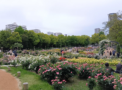 우쓰보 공원 사진 5