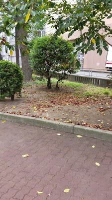 노자키 공원 사진 2