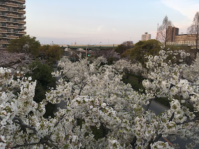Nagara Higashi Park 사진 3