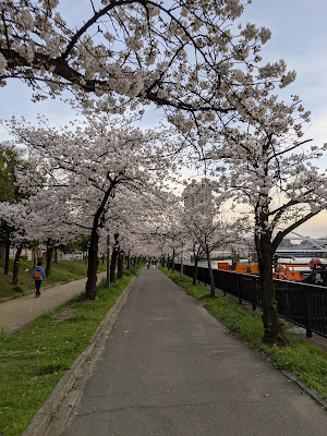 Nagara Higashi Park 사진 4