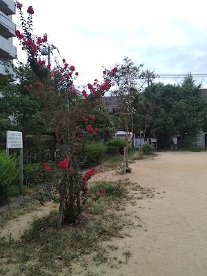하마구치히가시 공원 사진 5