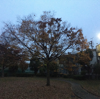 Terugaoka Yata Park 사진 3