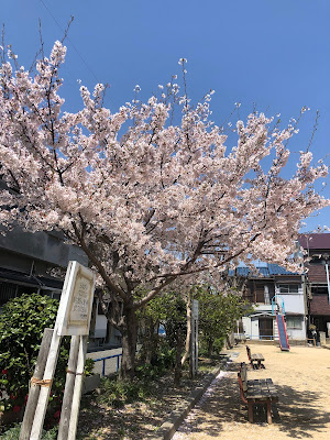 Yadasuminodo Park 사진 3