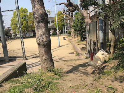 우에스미요시니시 공원 사진 2