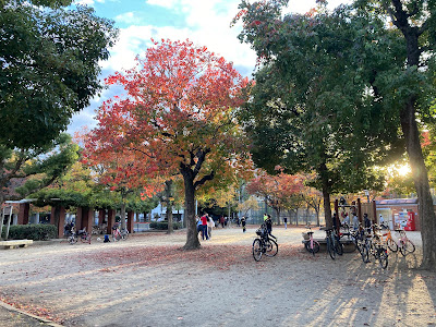 Hiranonishi Park 사진 3