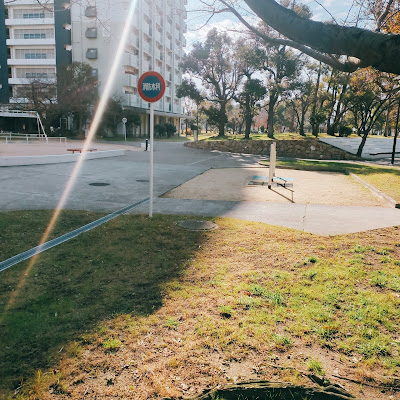 공원 사진 3