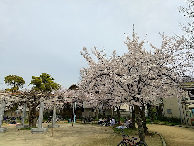 구마타 공원 사진 3