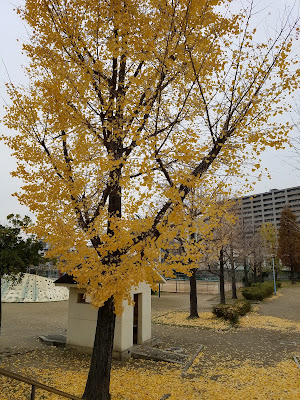 Park 사진 3