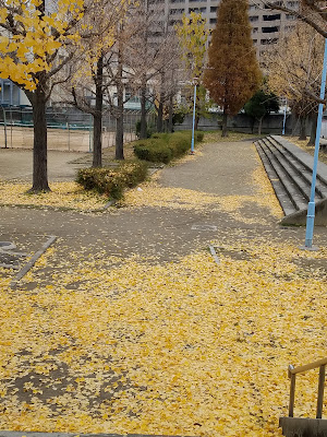 Park 사진 2
